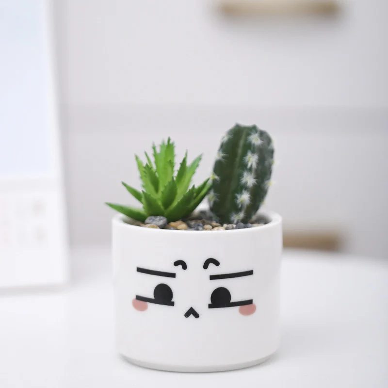 Niedlicher Tier-Themen-Sukkulenten-Planter Brehn