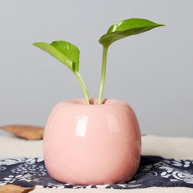 Künstlerischer Keramik-Apfel-förmiger Blumentopf Brehn
