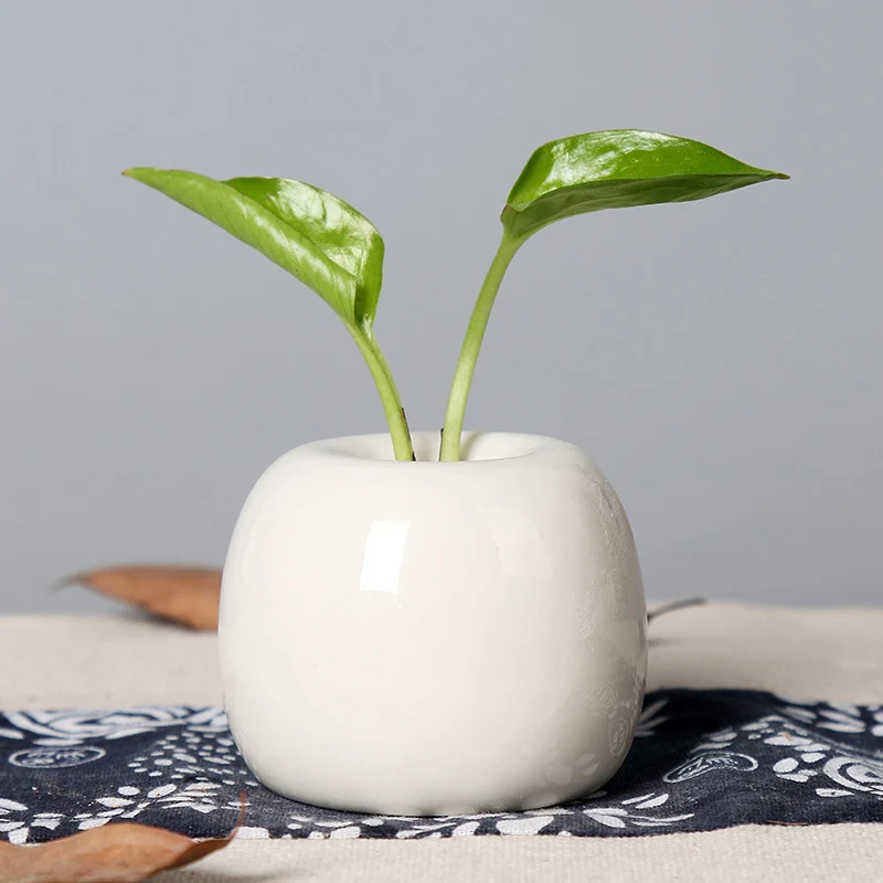Künstlerischer Keramik-Apfel-förmiger Blumentopf Brehn