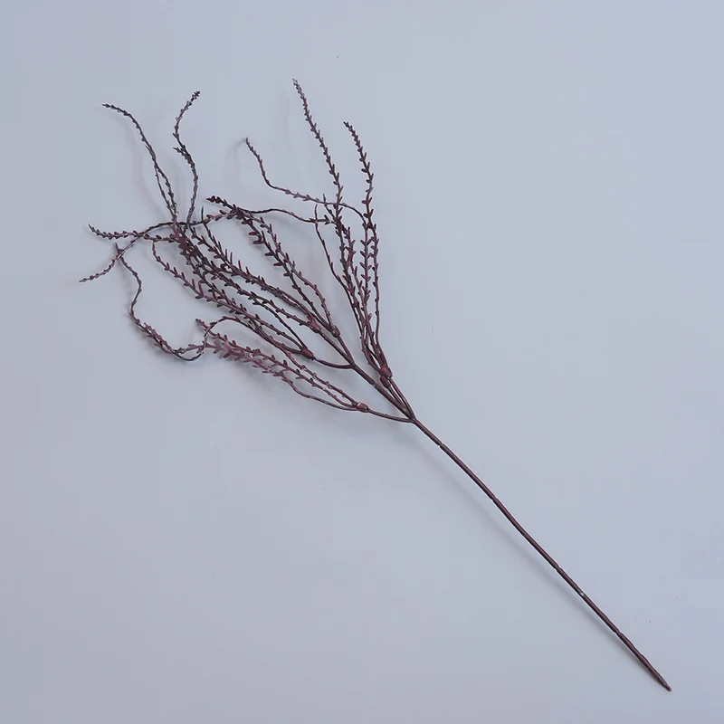 Elegante getrocknete botanische Stiele