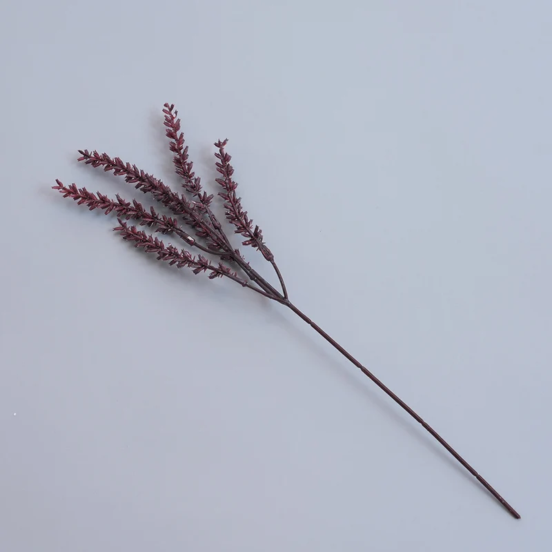 Elegante getrocknete botanische Stiele