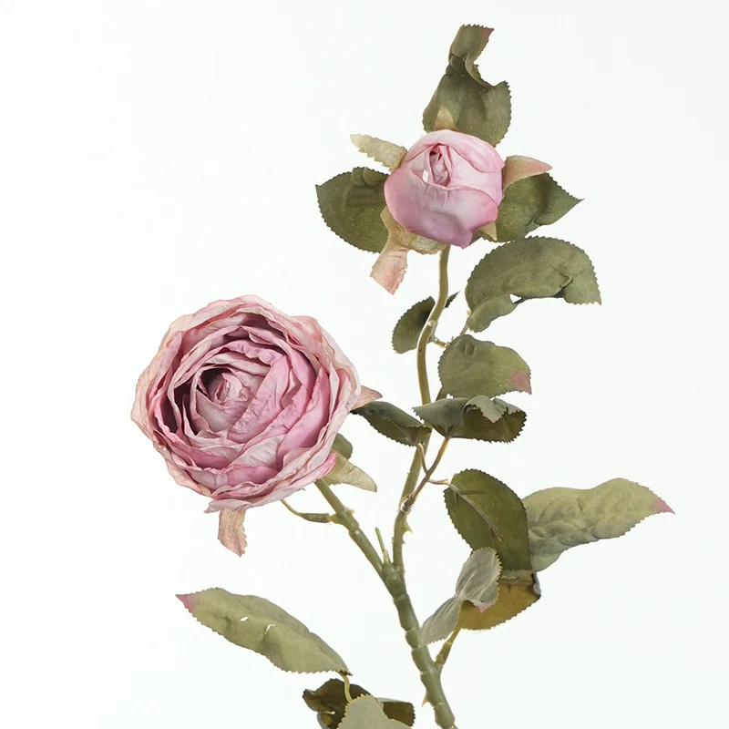 Lebensnahe Pinke Rosenstiel