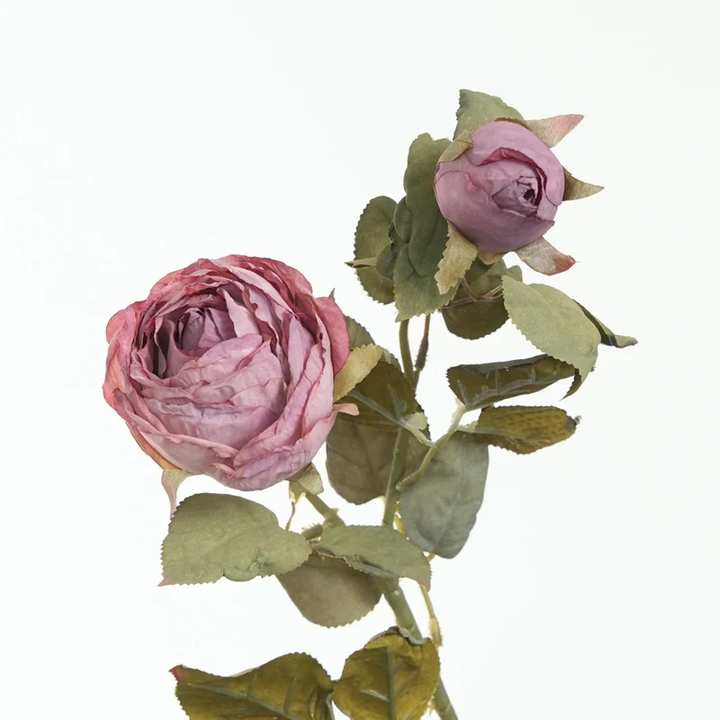 Lebensnahe Pinke Rosenstiel