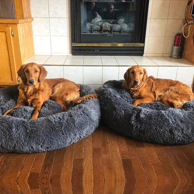 Skanto | Beruhigendes Hundebett
