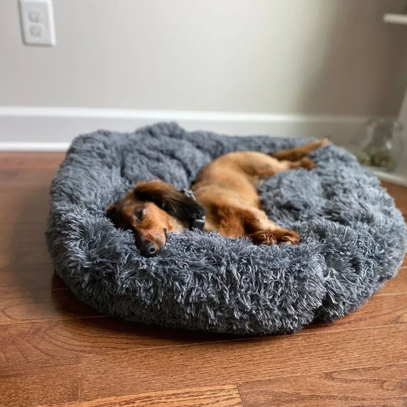 Skanto | Beruhigendes Hundebett