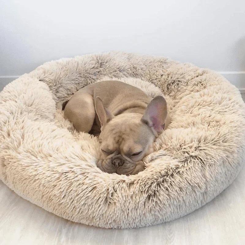 Skanto | Beruhigendes Hundebett