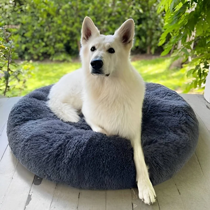 Skanto | Beruhigendes Hundebett