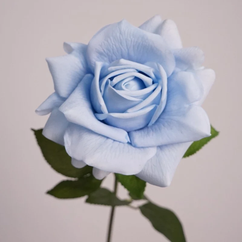 Lebensnahe Gartenrose Stiel