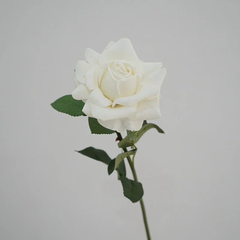 Lebensnahe Gartenrose Stiel