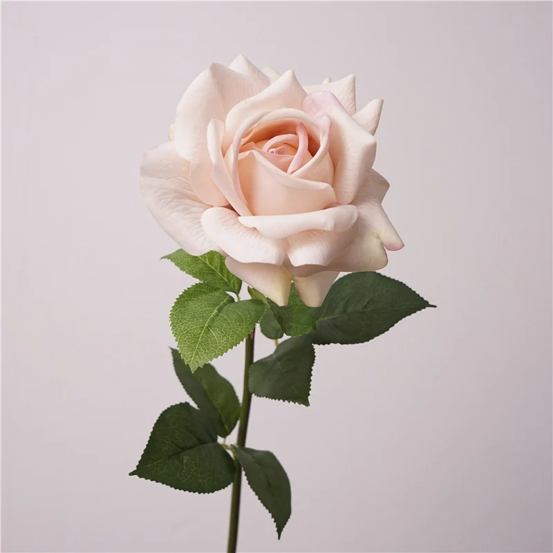 Lebensnahe Gartenrose Stiel