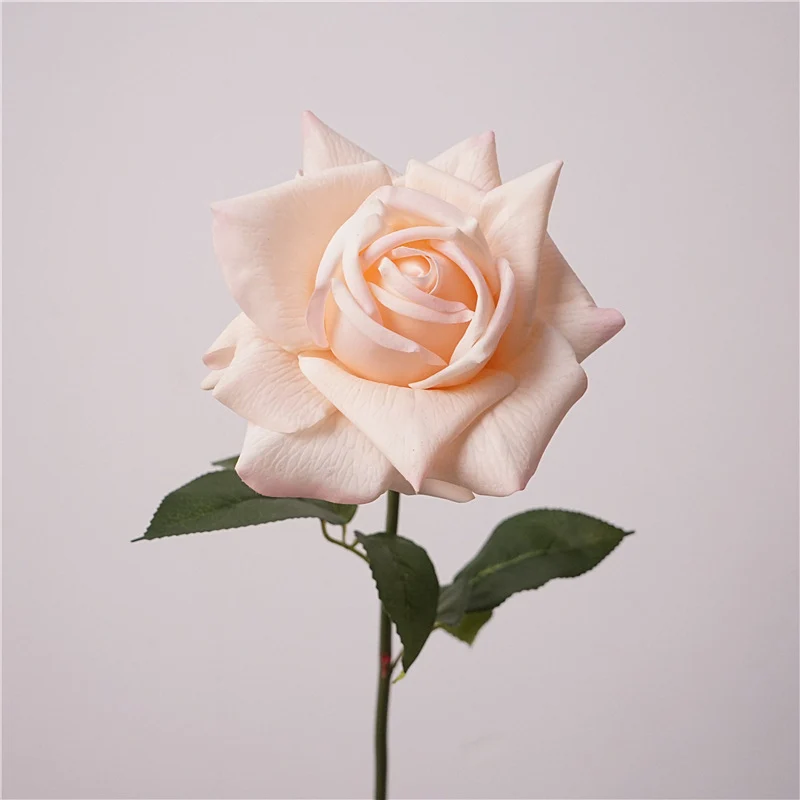 Lebensnahe Gartenrose Stiel