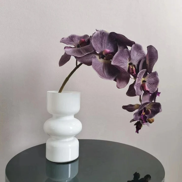 Elegante Orchidee Stiel