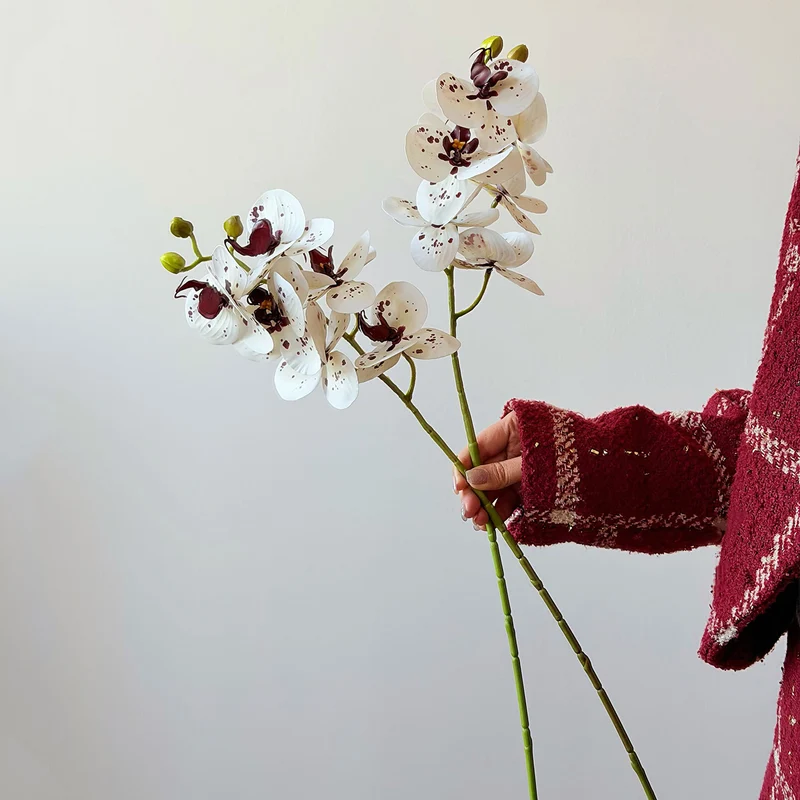 Elegante Blumenmuster-Jacke