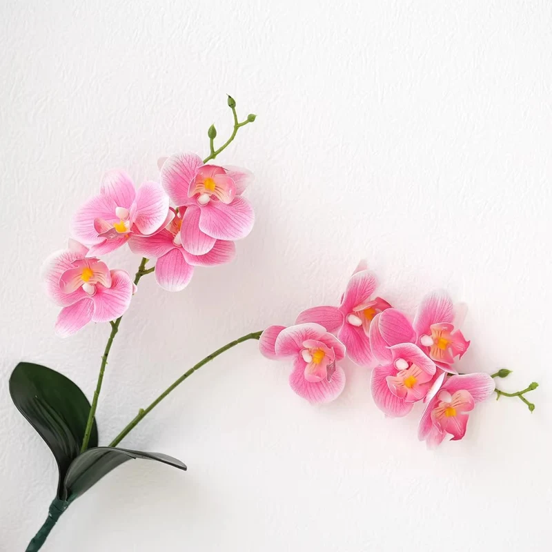 Dekorative Orchideenarrangement