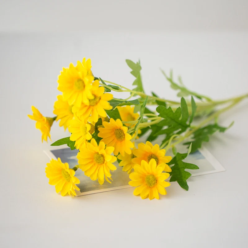 Lebensechte Blumenanzeige