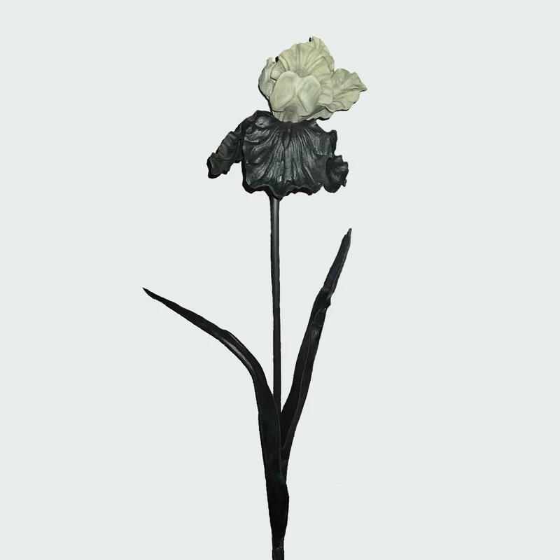 Dekorativer Iris-Blumenstiel