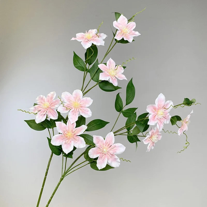Dekorative Clematis Blumenarrangement