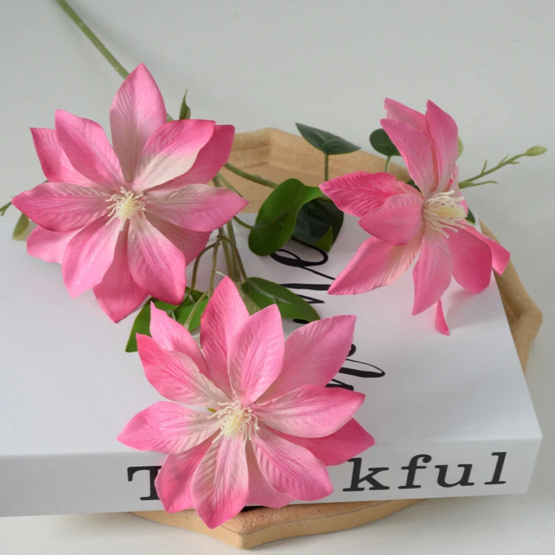Dekorativer floraler Clematis-Stängel