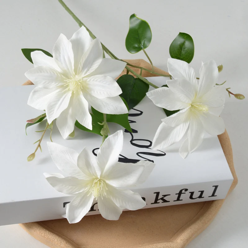 Dekorativer floraler Clematis-Stängel