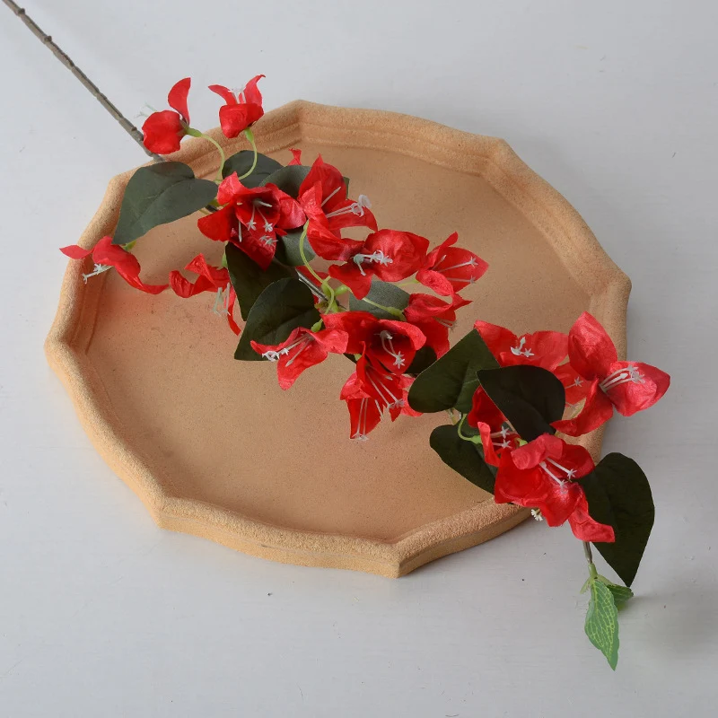 Dekorative Bougainvillea Blumenranke