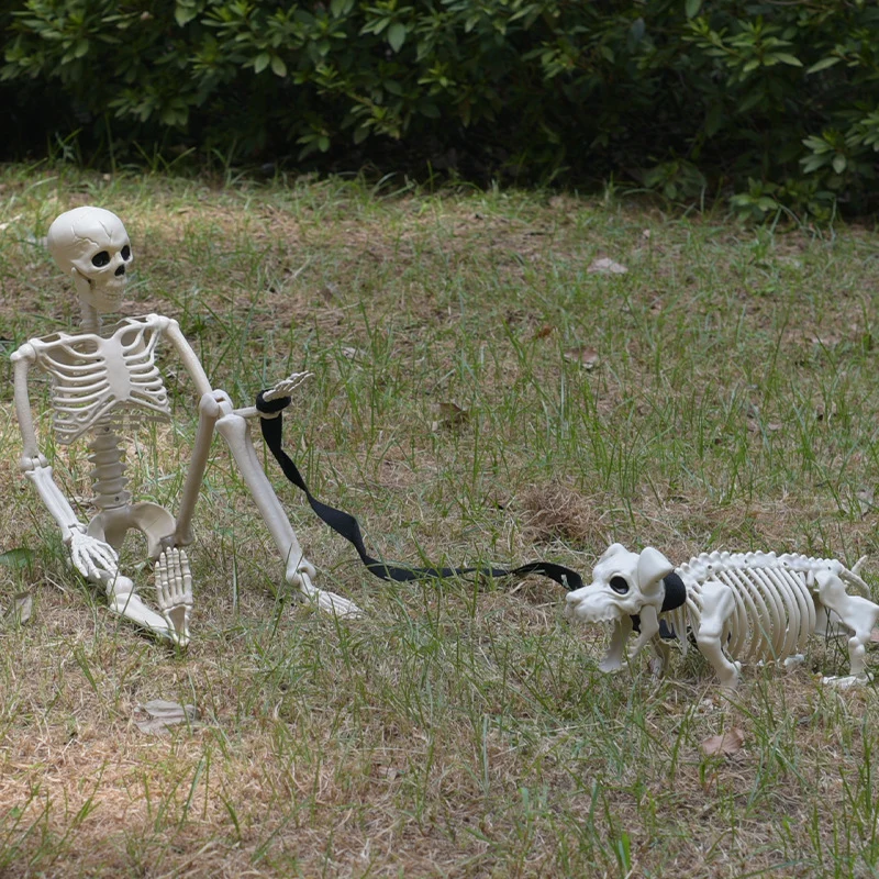 Skelett Hund Spaziergang Dekoration Brehn