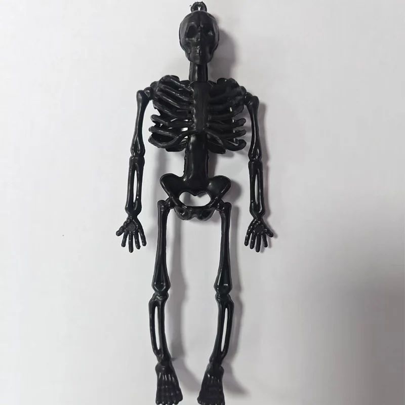 Miniatur anatomisches Skelett Brehn