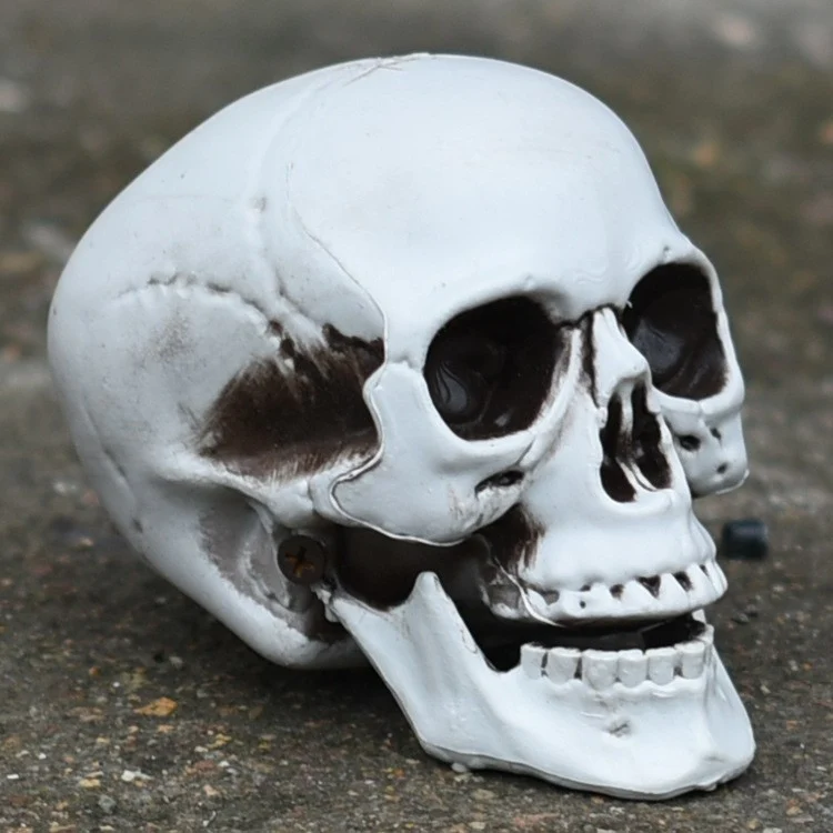 Dekorativer Totenkopf Telefonständer Brehn 1790561032