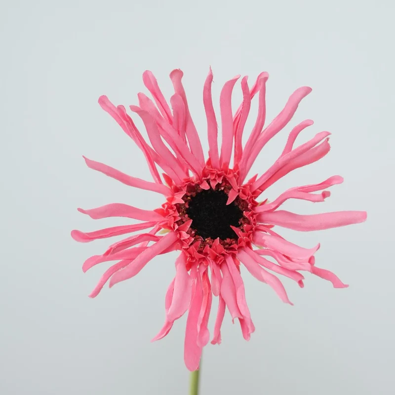 Realistische Sonnenblumenstängel