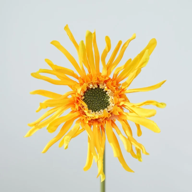 Realistische Sonnenblumenstängel