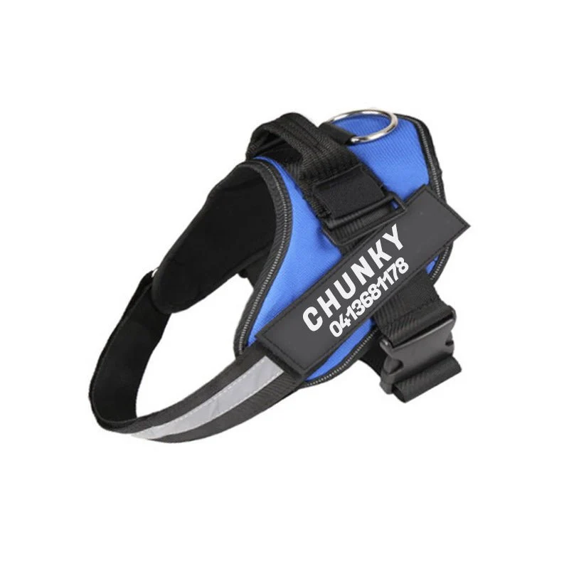Skanto | Dogsafe Harness – Reflektierendes, zugfreies Hundegeschirr mit anpassbarem Namensschild