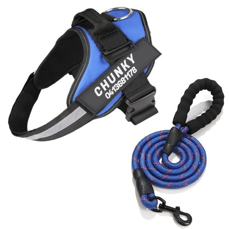 Skanto | Dogsafe Harness – Reflektierendes, zugfreies Hundegeschirr mit anpassbarem Namensschild
