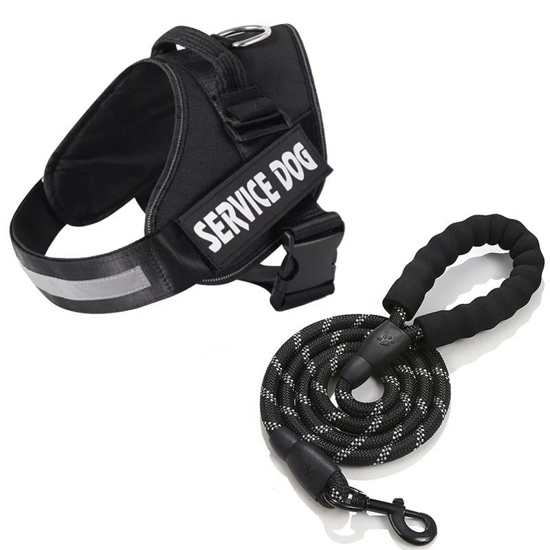 Skanto | Dogsafe Harness – Reflektierendes, zugfreies Hundegeschirr mit anpassbarem Namensschild