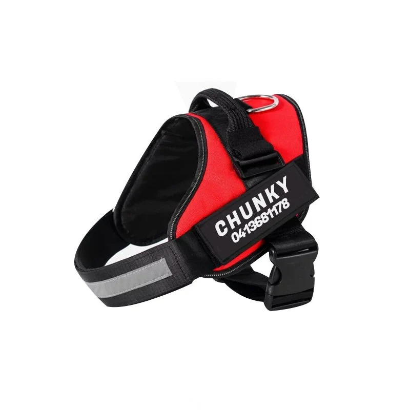 Skanto | Dogsafe Harness – Reflektierendes, zugfreies Hundegeschirr mit anpassbarem Namensschild