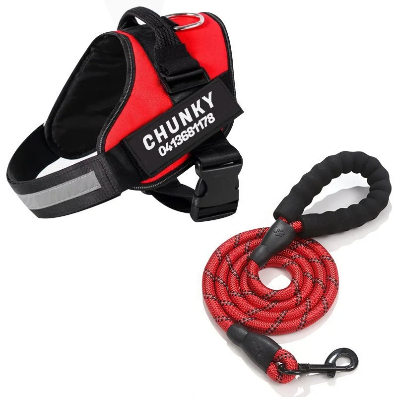 Skanto | Dogsafe Harness – Reflektierendes, zugfreies Hundegeschirr mit anpassbarem Namensschild