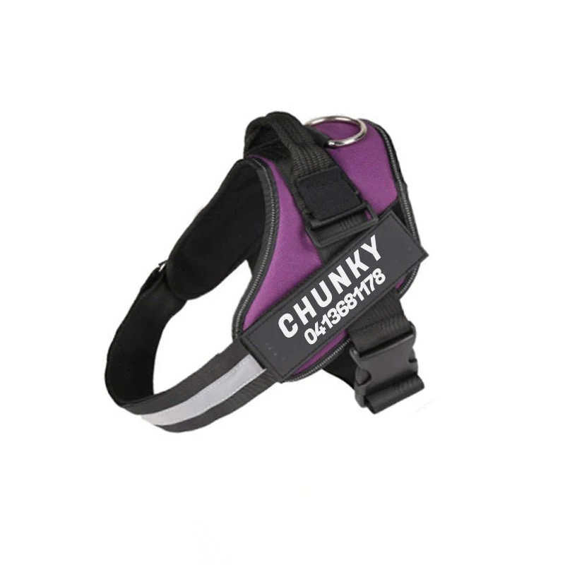 Skanto | Dogsafe Harness – Reflektierendes, zugfreies Hundegeschirr mit anpassbarem Namensschild