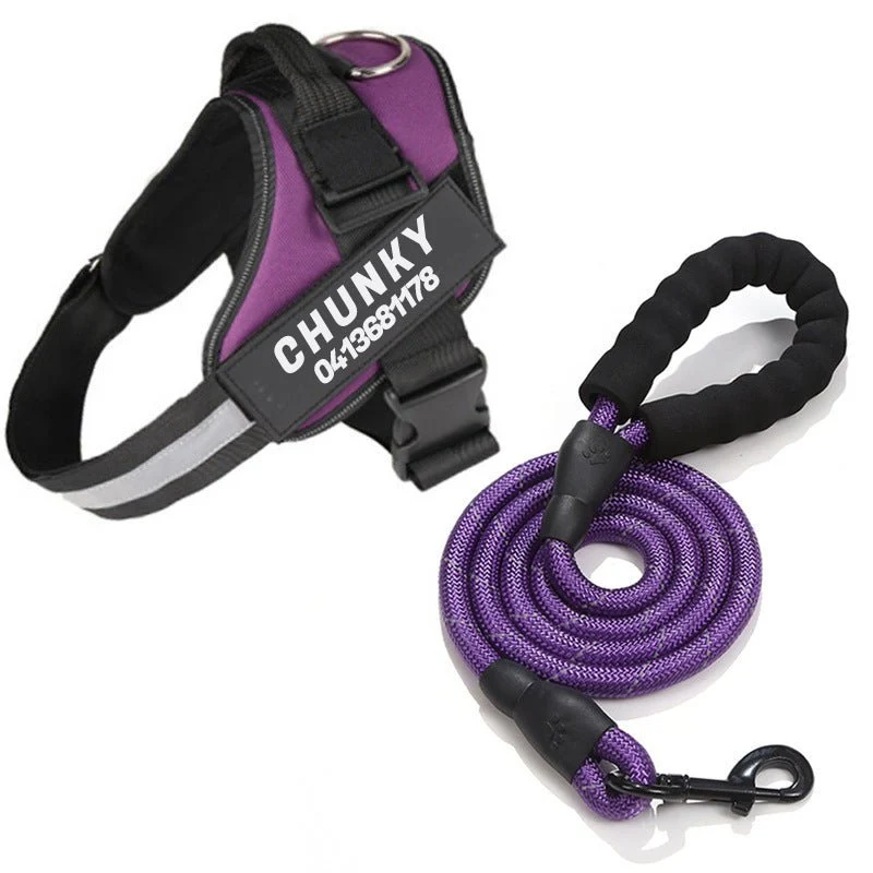 Skanto | Dogsafe Harness – Reflektierendes, zugfreies Hundegeschirr mit anpassbarem Namensschild