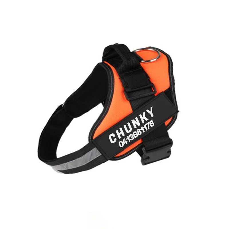 Skanto | Dogsafe Harness – Reflektierendes, zugfreies Hundegeschirr mit anpassbarem Namensschild