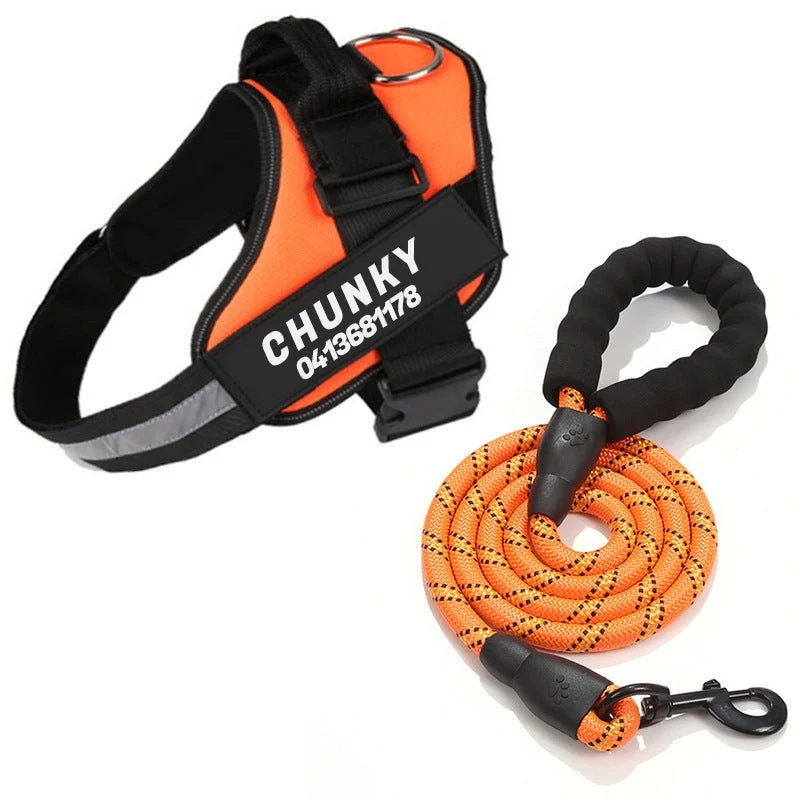 Skanto | Dogsafe Harness – Reflektierendes, zugfreies Hundegeschirr mit anpassbarem Namensschild