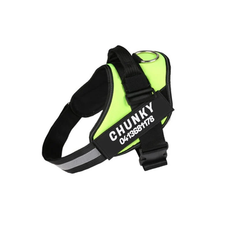 Skanto | Dogsafe Harness – Reflektierendes, zugfreies Hundegeschirr mit anpassbarem Namensschild