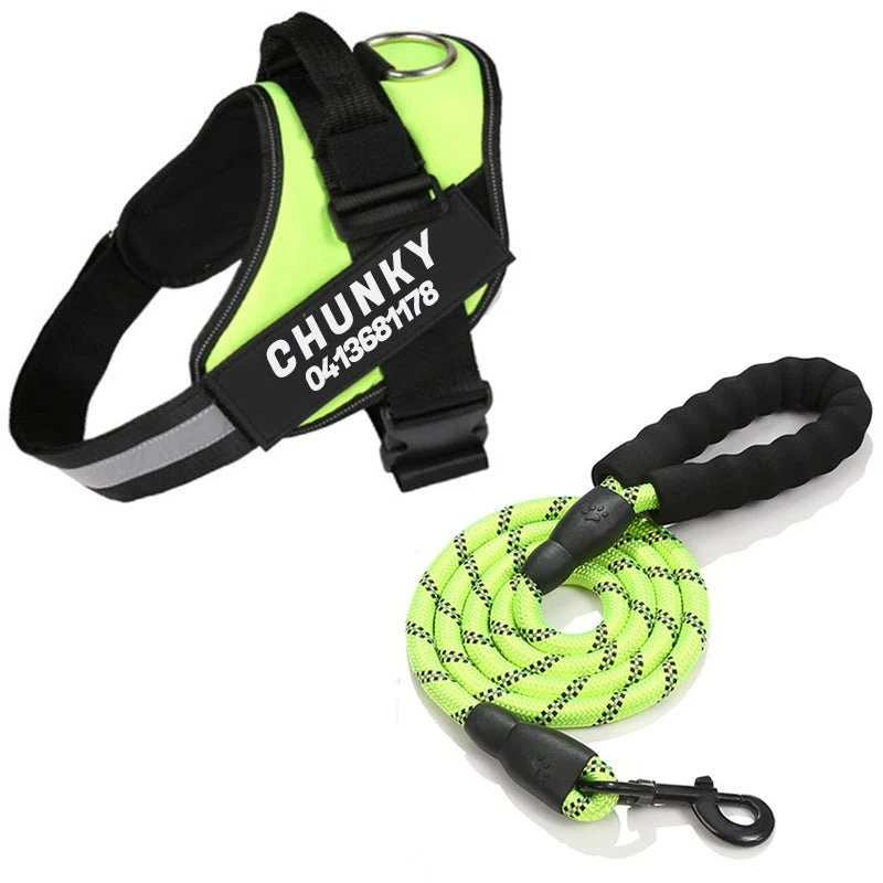 Skanto | Dogsafe Harness – Reflektierendes, zugfreies Hundegeschirr mit anpassbarem Namensschild