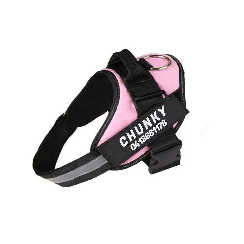 Skanto | Dogsafe Harness – Reflektierendes, zugfreies Hundegeschirr mit anpassbarem Namensschild