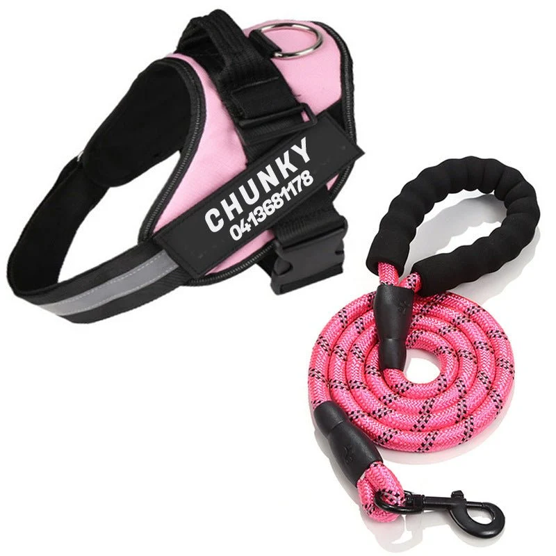Skanto | Dogsafe Harness – Reflektierendes, zugfreies Hundegeschirr mit anpassbarem Namensschild