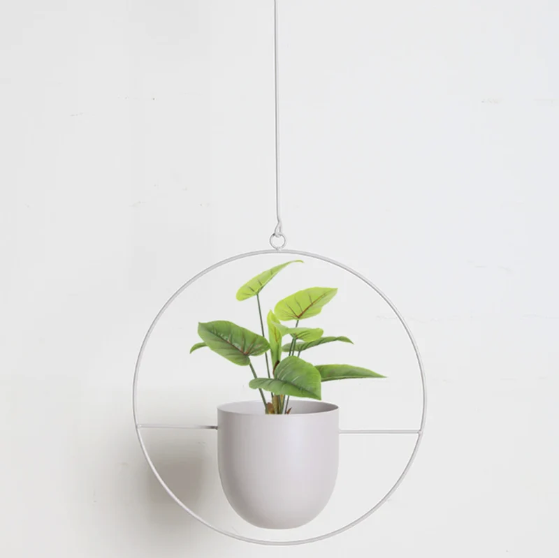 Skanto | Wandmontierter Metall-Pflanzenhalter – FloraFrame