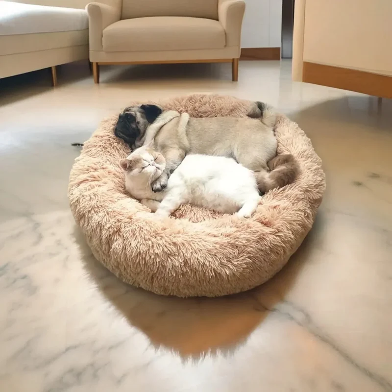 Skanto | SLUMBERPAWS BED – Beruhigendes Hundebett für tiefen, erholsamen Schlaf