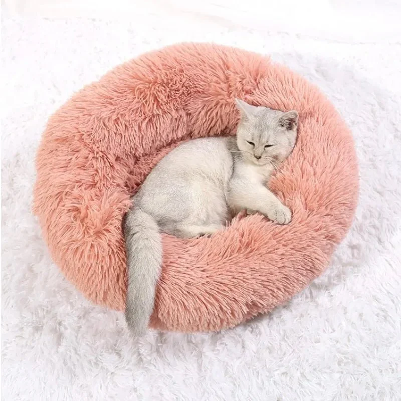 Skanto | SLUMBERPAWS BED – Beruhigendes Hundebett für tiefen, erholsamen Schlaf