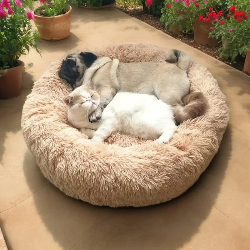 Skanto | SLUMBERPAWS BED – Beruhigendes Hundebett für tiefen, erholsamen Schlaf