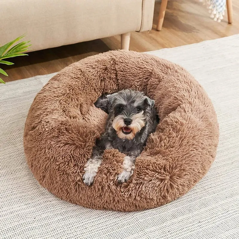 Skanto | SLUMBERPAWS BED – Beruhigendes Hundebett für tiefen, erholsamen Schlaf