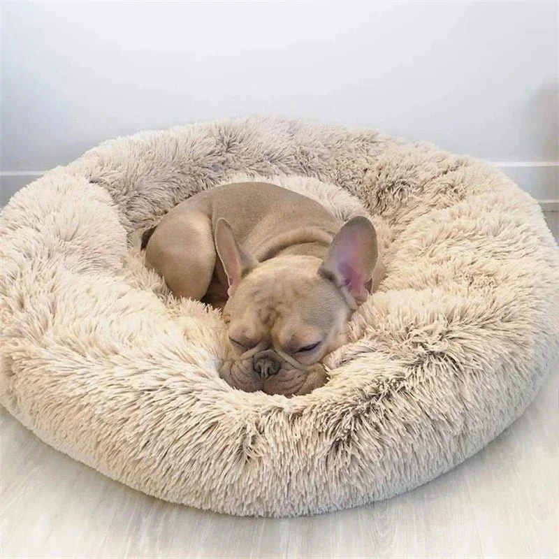 Skanto | SLUMBERPAWS BED – Beruhigendes Hundebett für tiefen, erholsamen Schlaf