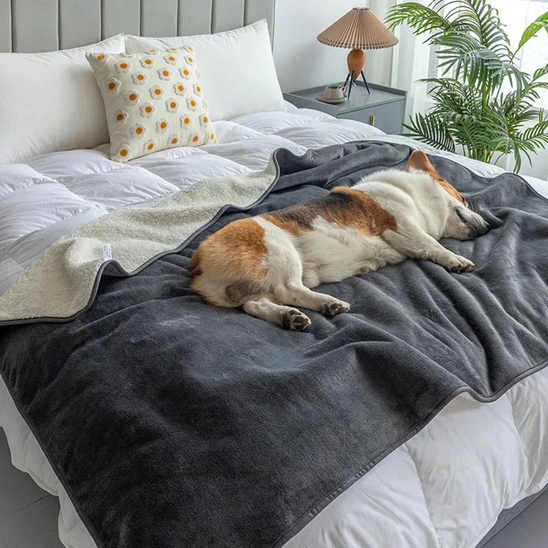 Skanto | PawProof Wasserdichte Haustierdecke | Für Hunde & Katzen | Gemütlich & strapazierfähig