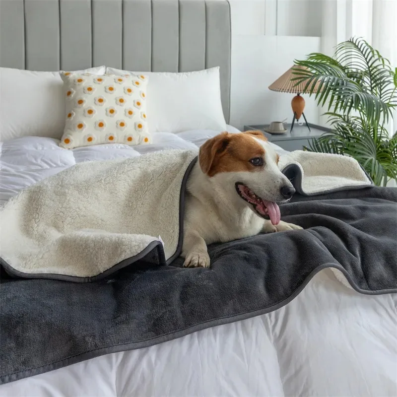 Skanto | PawProof Wasserdichte Haustierdecke | Für Hunde & Katzen | Gemütlich & strapazierfähig